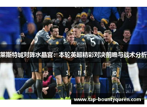 莱斯特城对阵水晶宫：本轮英超精彩对决前瞻与战术分析